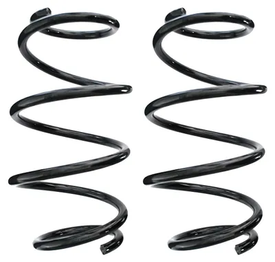Imagen del producto de Resorte de suspensión trasero para NISSAN LEAF, referencia 87451
