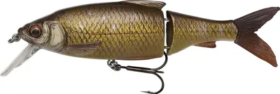 Zdjęcie produktu dla Savage Gear 3D Roach Lipster, kolor: Rudd PHP, długość / waga: 18,2 cm – 67 g