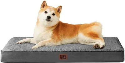 Image de Lit orthopédique pour chien, gris moyen, 91 x 68 x 9 cm, moelleux et lavable