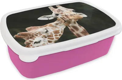 Produktbild von KitchenYeah® Lunchbox Brotzeit Brotdose 17x11 cm Giraffe - Tiere - Schwarz Kinder Brotzeitdose - Lunchpaket - Brotkasten  - Sandwich Box