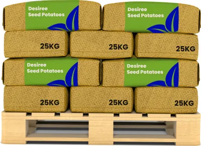 Zdjęcie produktu dla Sadzeniaki ziemniaka Desiree A 28/35 (20x = 500 kg) - Organifer