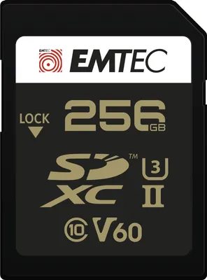 Immagine prodotto di Emtec ECMSD256GUHS2V60 memoria flash 256 GB SDXC UHS-II Classe 2