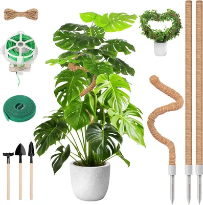 Imagen del producto de Varillas para plantas, juego de 3 unidades, de 120 cm y 60 cm, flexibles, con accesorios, para plantas trepadoras