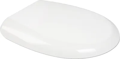 A white toilet seat lid is shown from a slightly elevated diagonal angle against a white background.