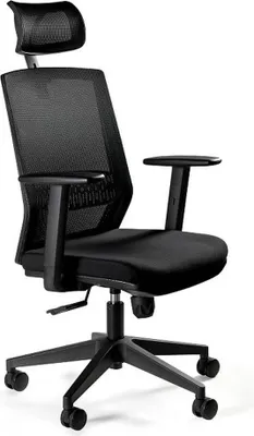 Obrázek produktu pro UNIQUE Ergonomic office chair ESTA black