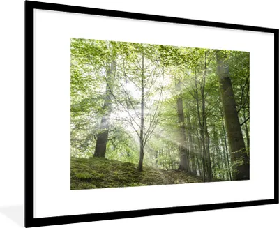 Produktbild von MuchoWow® MuchoWow® Gerahmtes Poster Wald - Bäume - Sonne 90x60 cm - Poster mit zchwarzem Bilderrahmen - Wanddekoration - Fotos