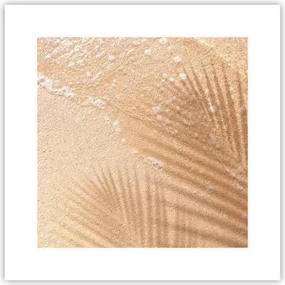 Produktbild von Poster - Poster ohne Rahmen - Sand Schatten Blätter - 30x30 cm - Wand Bild - Wanddeko - Wandbilder - Kunstposter - Wandposter - Bilder - Kunstdruck - Wanddekoration - Wandbild - P2XAC30x30-4580