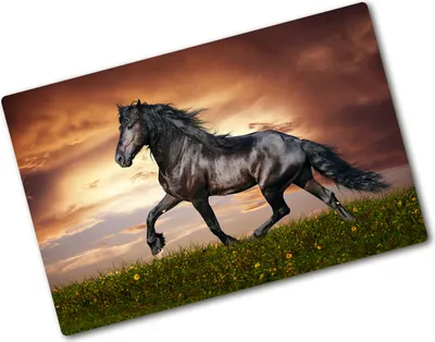 Produktbild von Tulup Glas Herdabdeckplatte - 80x52 cm - Glaskeramikkochfeld-Abdeckung Spritzschutz Glasabdeckplatte - Einteilig - Tiere - Pferd - Braun