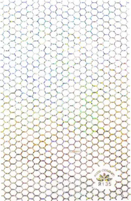 Produktbild von Dünne geometrische Nagelaufkleber R135 Holo