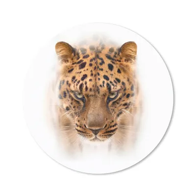 Produktbild von MuchoWow® Mauspad Mousepad Panther - Porträt - Weiß 20x20 cm - Mousepads - Maus Mat - Pad - Mausunterlage - Schreibtischmatte