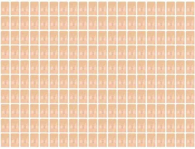 Productafbeelding van Kartonnen standzakken, verpakking van 200 stuks - 9x14 cm - Opvouwbaar - Met venster - Geschikt voor kruiden en specerijen - Opbergzakken