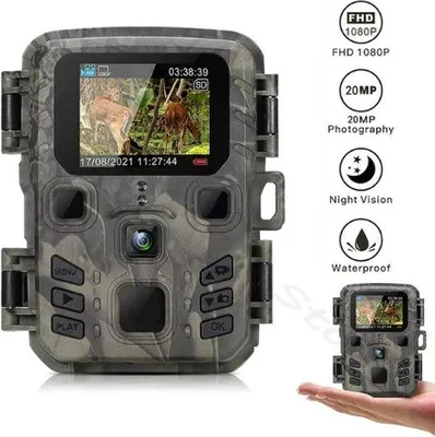 Image de Caméra de surveillance de la faune sauvage avec vision nocturne, étanche IP66, détecteur de mouvement