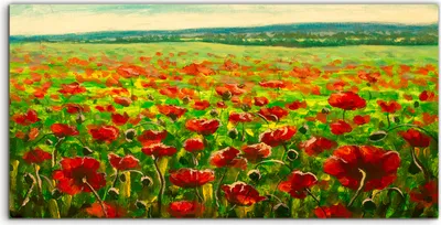 Produktbild von Coloray Glasbild 140x70  Wandbild Glasbilder Feld von rotem Mohn Blumen Landschaft
