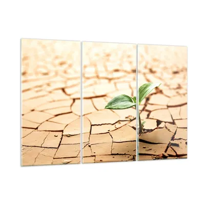 Produktbild von Bilder auf glas - Wüste Erde Umwelt - 165x110cm - Glasbilder - Wandbilder - Kunstdruck - zum Aufhängen bereit - Wanddekoration aus Glas - Glas Bilder - Wandbild auf Glas - 3 Teile - GCE165x110-2173