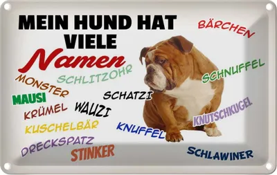 Produktbild von vianmo Blechschild 12x18 cm mein Hund hat viele Namen Tier Haustier