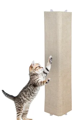Produktbild von Kratzbrett Katzenkratzbrett 80x28 cm Eckkratzbrett Kratzbaum Katzen Katze Sisal