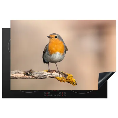 Produktbild von KitchenYeah© Herdabdeckplatte Rotkehlchen - Vogel - Zweig - Tiere , 78x52cm, Küche Deko, Glaskeramikkochfeld Herdabdeckung, Abdeckplatte fùr Kochfeld