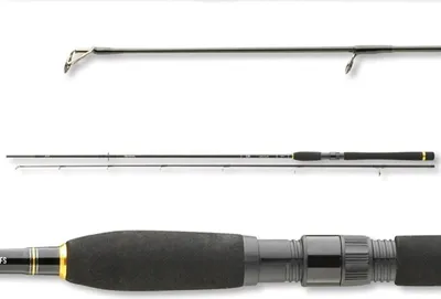 Image de Daiwa Rod Legalis Spin 2,1 m 10-30 g 2-piece