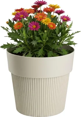 Obrázek produktu pro HowHomely | Květináč – nádoba na rostliny – béžový – 12 x 14 cm – rýhovaná struktura – z recyklovaného materiálu – květinový truhlík