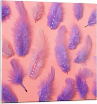 Produktbild von Bilder auf glas - Vogel Feder Farbe Komposition - 30x30cm - Glasbilder - Wandbilder - Kunstdruck - zum Aufhängen bereit - Wanddekoration aus Glas - Glas Bilder - Wandbild auf Glas - GAC30x30-2922
