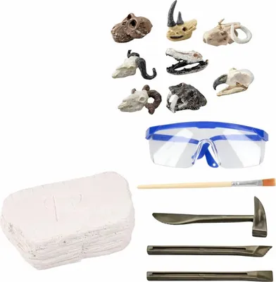 Obrázek produktu pro LEAN Toys 28928 Archeologická vykopávková sada, lebky, kosti, nástroje a doplňky