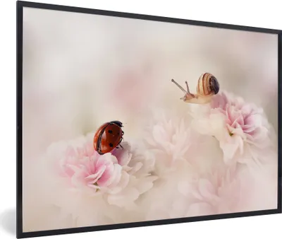 Produktbild von MuchoWow® MuchoWow® Gerahmtes Poster Schnecken - Blumen - Marienkäfer 30x20 cm - Poster mit zchwarzem Bilderrahmen - Kunstdruck - Bild-Poster