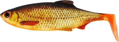 Immagine prodotto di Westin Ricky the Roach Shadtail 18cm 85g Real Rudd 1pc Gummifisch