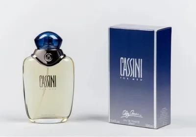 Obrázok produktu pre Oleg Cassini pre mužov 100 ml toaletná voda v spreji