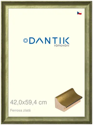 Obrázek produktu pro DANTIK rámeček 42x59,4 | Ferrosa zlatá (Plexi Čiré)