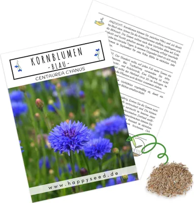 Produktbild von Kornblumen Samen (Centaurea cyanus) - Wunderschön leuchtende Blumen mit langer Blütezeit für eine bunte Blumenwiese (Blau, 1000 Korn, 80 cm)