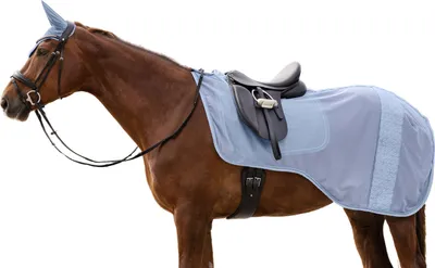 Produktbild von Waldhausen Ausreitdecke Rom Fliegendecke Pastellblau PON