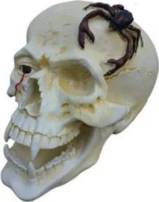 Produktbild von Schädel Kopf Skorpion Figur Statue Skulptur 44 cm Figuren Statuen Skulpturen N87