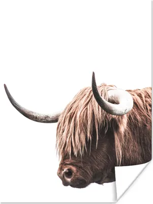 Produktbild von MuchoWow® Poster Kuh - Schottischer Highlander - Tiere 120x160 cm - Wandbilder