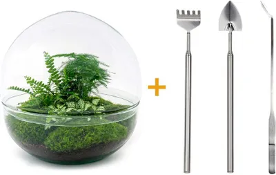 Immagine prodotto di Terrario fai da te - Cupola Xl - ↕ 30 cm
