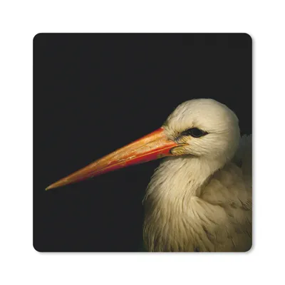 Produktbild von MuchoWow® Mauspad Mousepad Vogel - Schnabel - Federn 30x30 cm - Mousepads - Maus Mat - Pad - Mausunterlage - Gaming