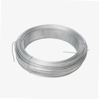 Zdjęcie produktu dla Drut stalowy ocynkowany, średnica 2,4 mm, WERKA PRO
