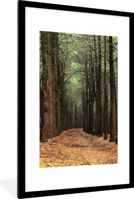 Produktbild von MuchoWow® Gerahmtes Poster Herbst - Dekoration - Wald 60x90 cm - Poster mit Schwarzem Bilderrahmen Wandposter Rahmen Foto Bilder - Dekoration - Wandposter Wohnzimmer - Hochwertig