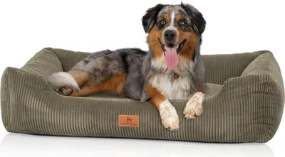 Produktbild von Knuffelwuff Hundebett aus Cord mit Handwebcharakter Olivia in khaki S