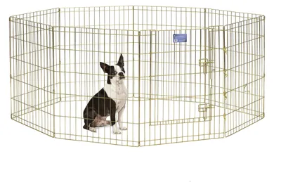Produktbild von MidWest Homes for Pets Hunde-Gehege aus Metall, zusammenklappbar, mit Tür, inklu