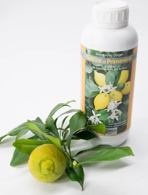 Produktbild von Gocce di Primavera ZitrusdüngerOscar Tintori