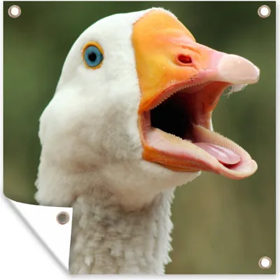 Produktbild von MuchoWow®
