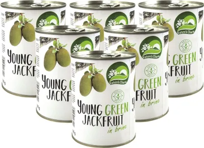 Produktbild von [ 6x 565g/ 300g ATG ] Natures Charm Junge Jackfrucht in Stücken, salzig eingelegt / Jackfruit