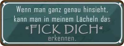Immagine prodotto di vianmo Insegna di latta 10x27 cm in meinem Lächeln Fick Dich