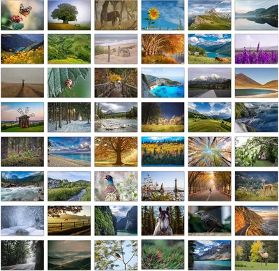 Imagen del producto de Conjunto de tarjetas de felicitación Unyqoos® – 48 unidades, tarjetas con fotografías de paisajes y sobres azules lisos, ideales para cumpleaños, festividades y mensajes personales