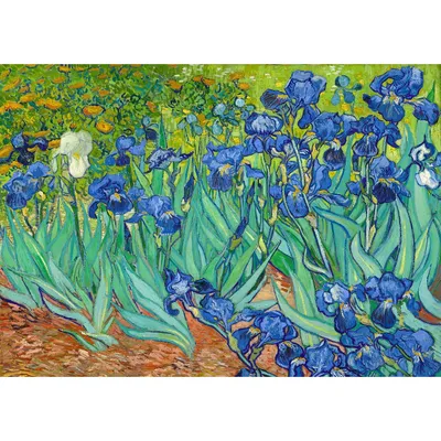 Produktbild von ENJOY Puzzle Vincent Van Gogh: Iris 1000 Teile