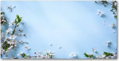 Produktbild von Tulup® Glas-Bild - 100x50 -Wandkunst - Wandbild hinter gehärtetem Sicherheitsglas  - Blumen & Pflanzen - Kirschblüten - Blau