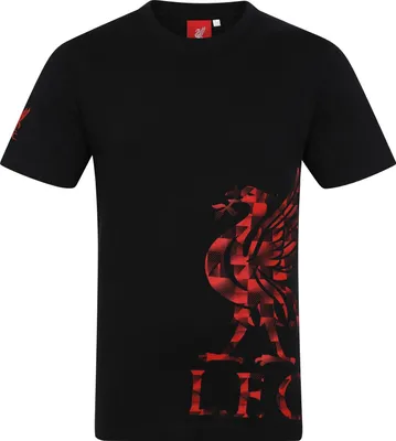 Produktbild von Liverpool FC - T-Shirt für Jungen GF621 (134) (Schwarz)