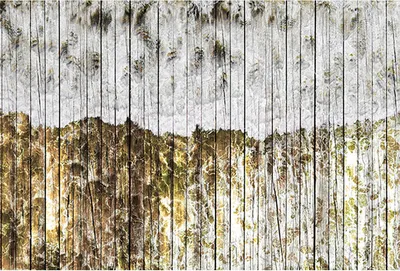 Produktbild von Tadessi Fototapete | Holzoptik | 4.00 m x 2.70 m | Gelb | Weiß | Wandbild | Digitaldruck