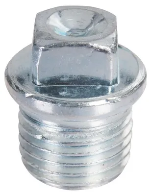 Image de Bouchon Galvanisé M15x21 étanchéité Robuste Pour Raccords Galvanisés - Générique