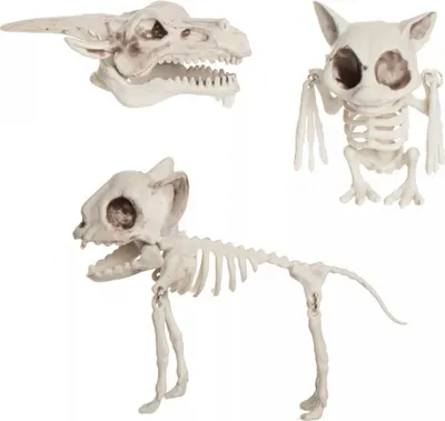 Produktbild von 3 Stück Tier Skelette im Netz als Halloween Dekoration